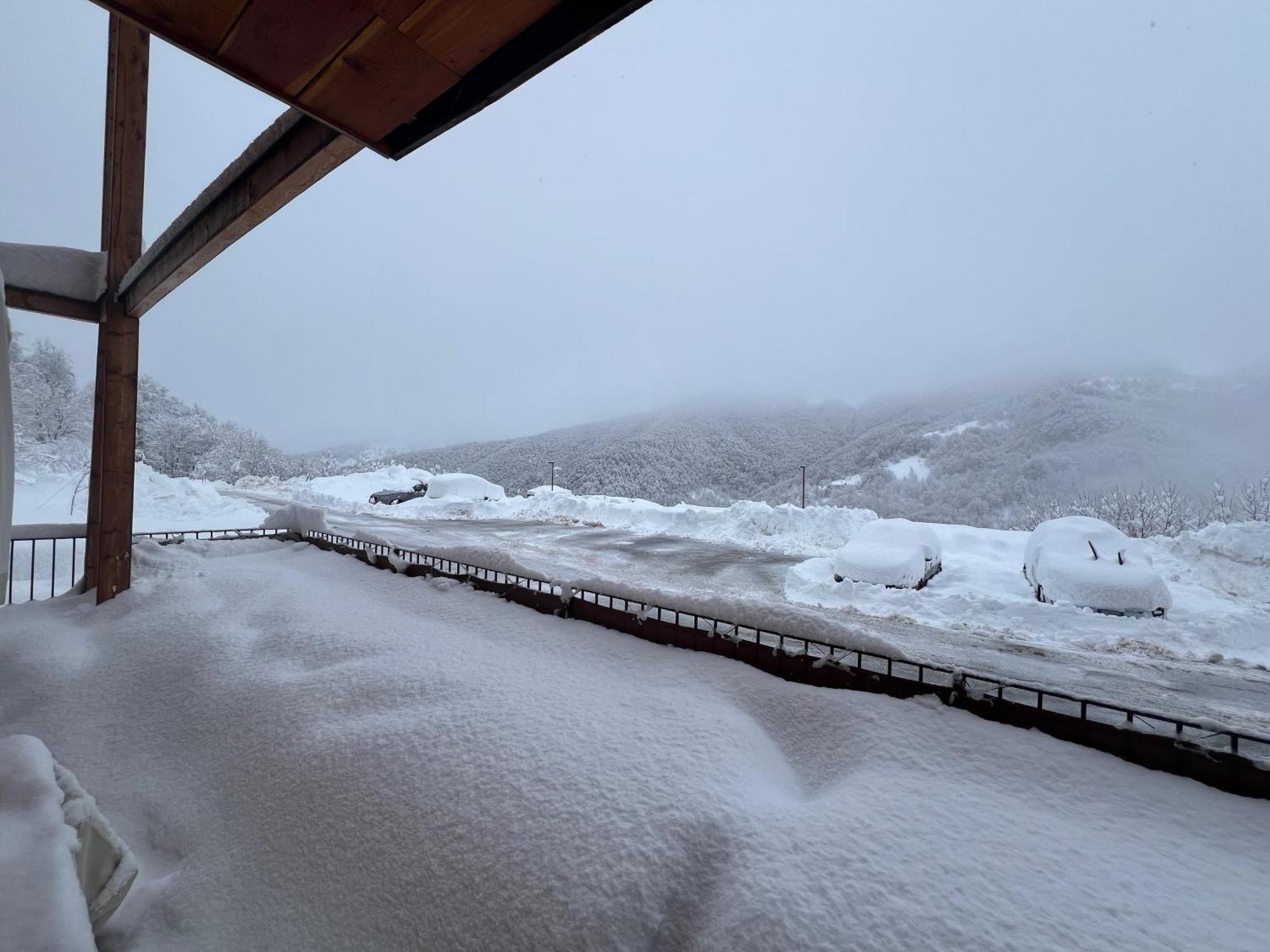 Chalet Bizet - Limone 1400 Limone Piemonte Exterior photo